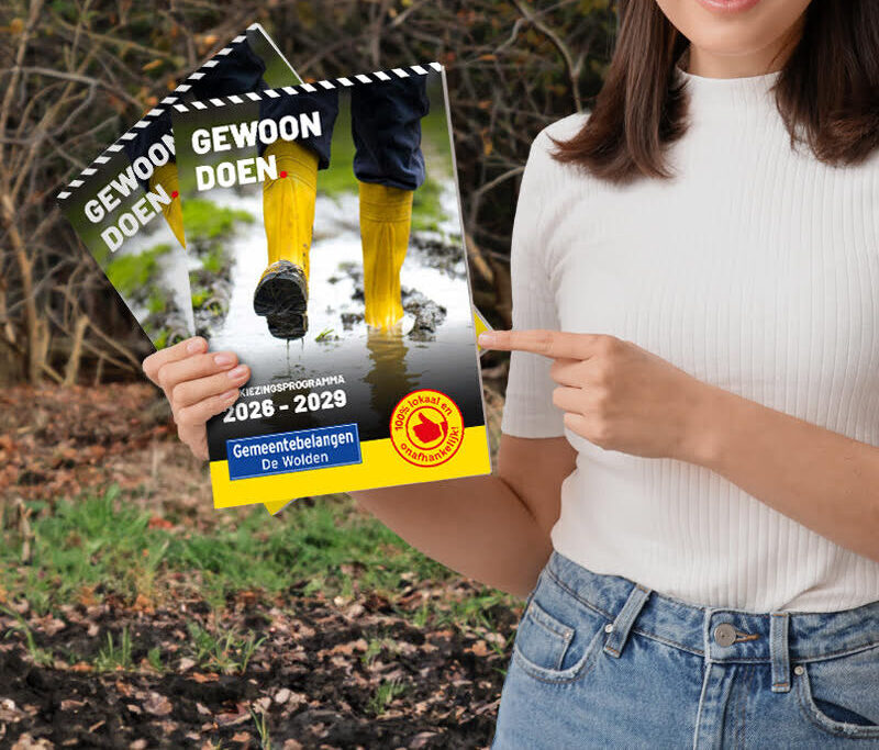 Verkiezingsprogramma